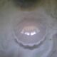 Scallop shell butter dish