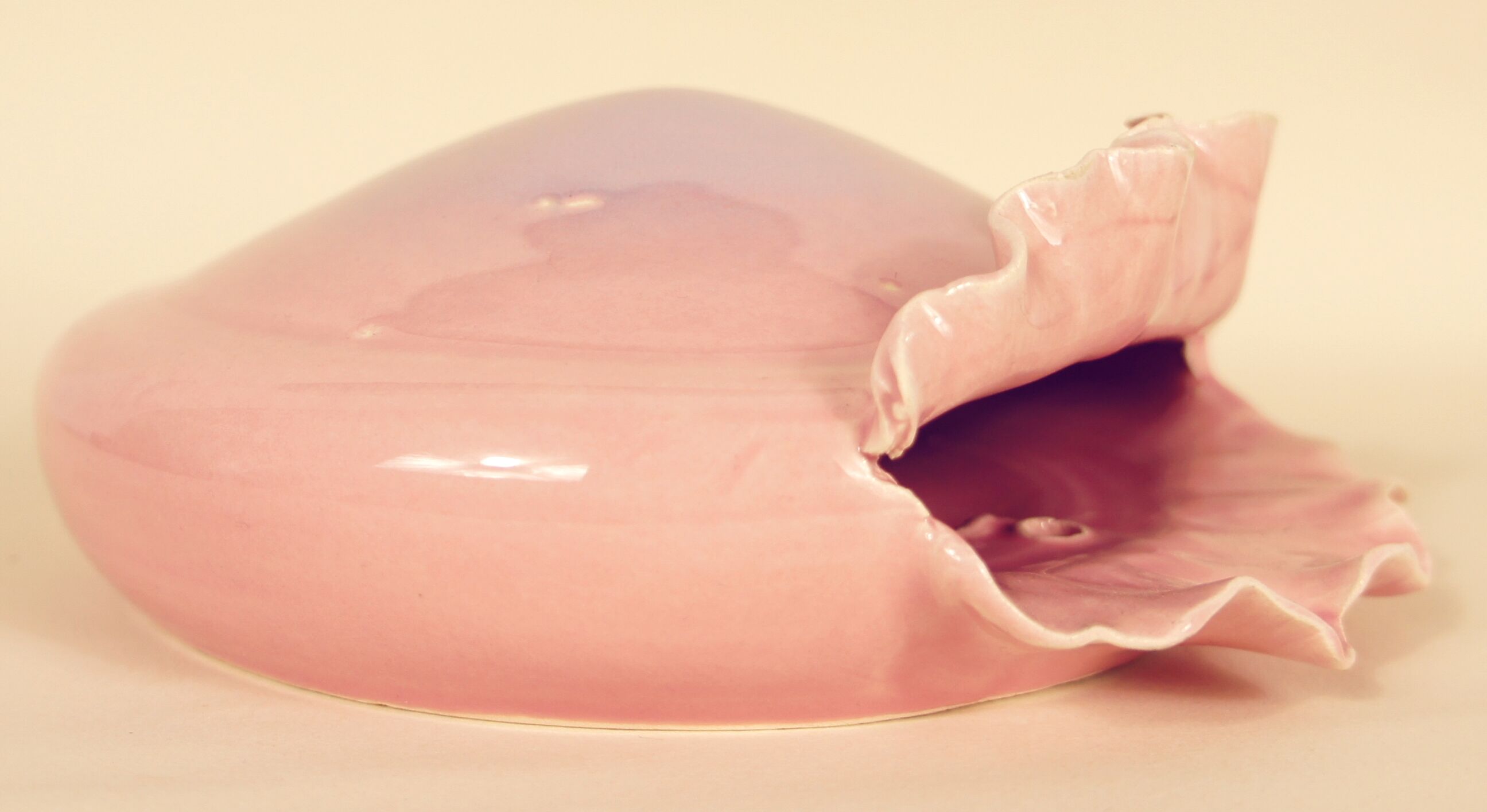 Domed wall vase to hang shell