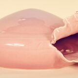 Domed wall vase to hang shell