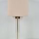 Vintage Regency Acrylic & Brass Table Lamp, Italy, 1970s