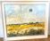 J.c.Roy.thistles on the Larzac. Oil on canvas, signed and framed.