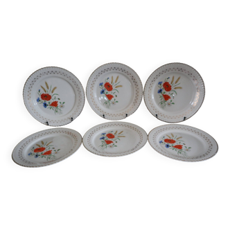 6 Alicante dinner plates from Digoin Sarreguemines