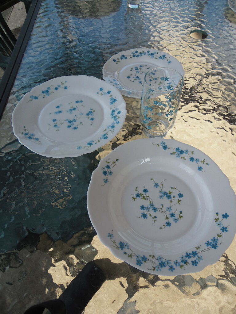 Service for 4 people forget-me-not arcopal