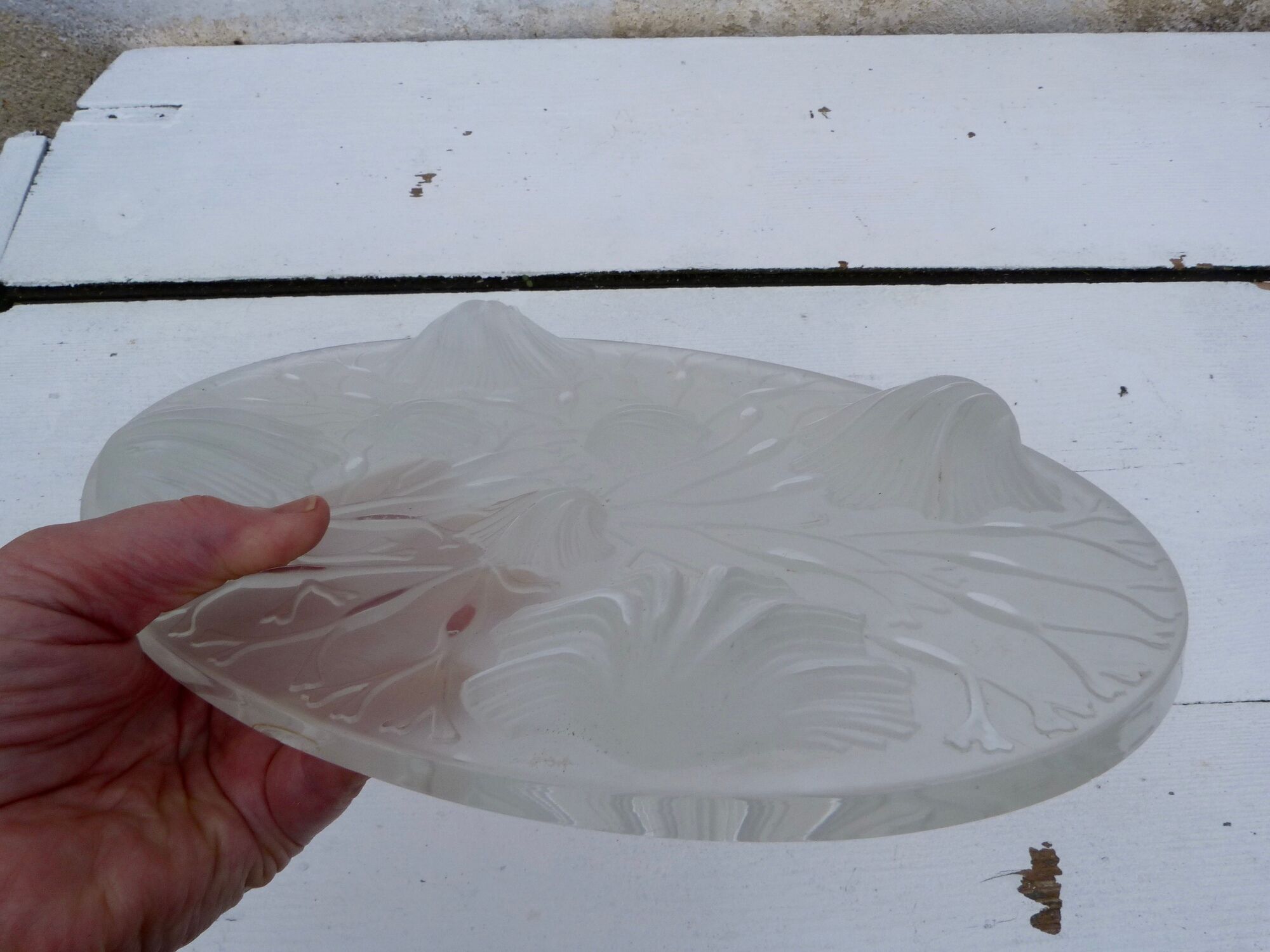 Verlys opalescent glass underside decorated with shells and seaweed