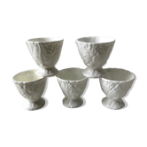 Set of 5 cockroaches in English cabbage slurry 60s