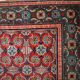 Tapis Antique Khotan d'Asie Centrale, Années 1900, Élégance Authentique