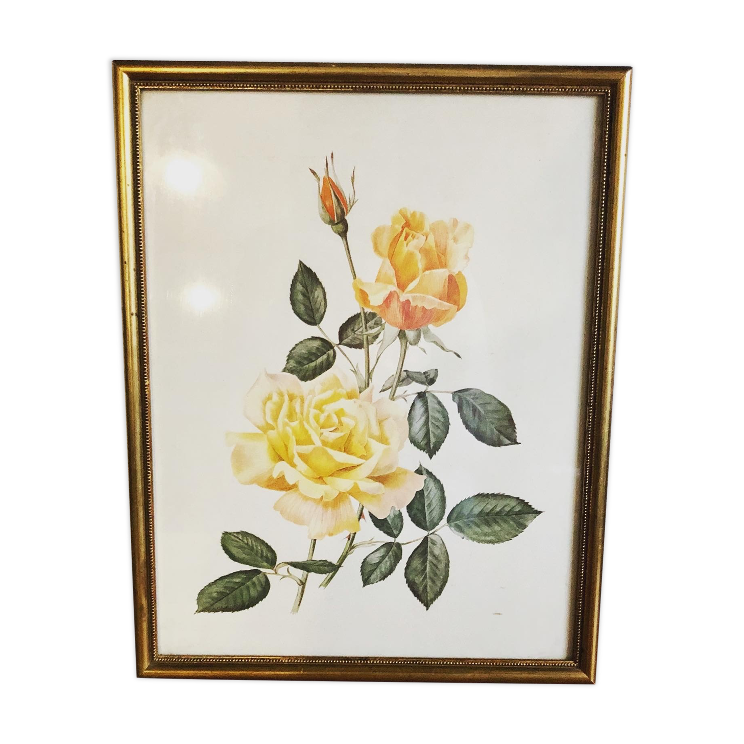 Lithographie florale