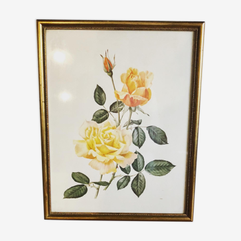 Floral lithograph