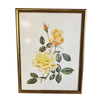 Floral lithograph