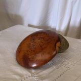 Elm burl pocket emptier