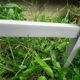 Chaise pliante Thonet