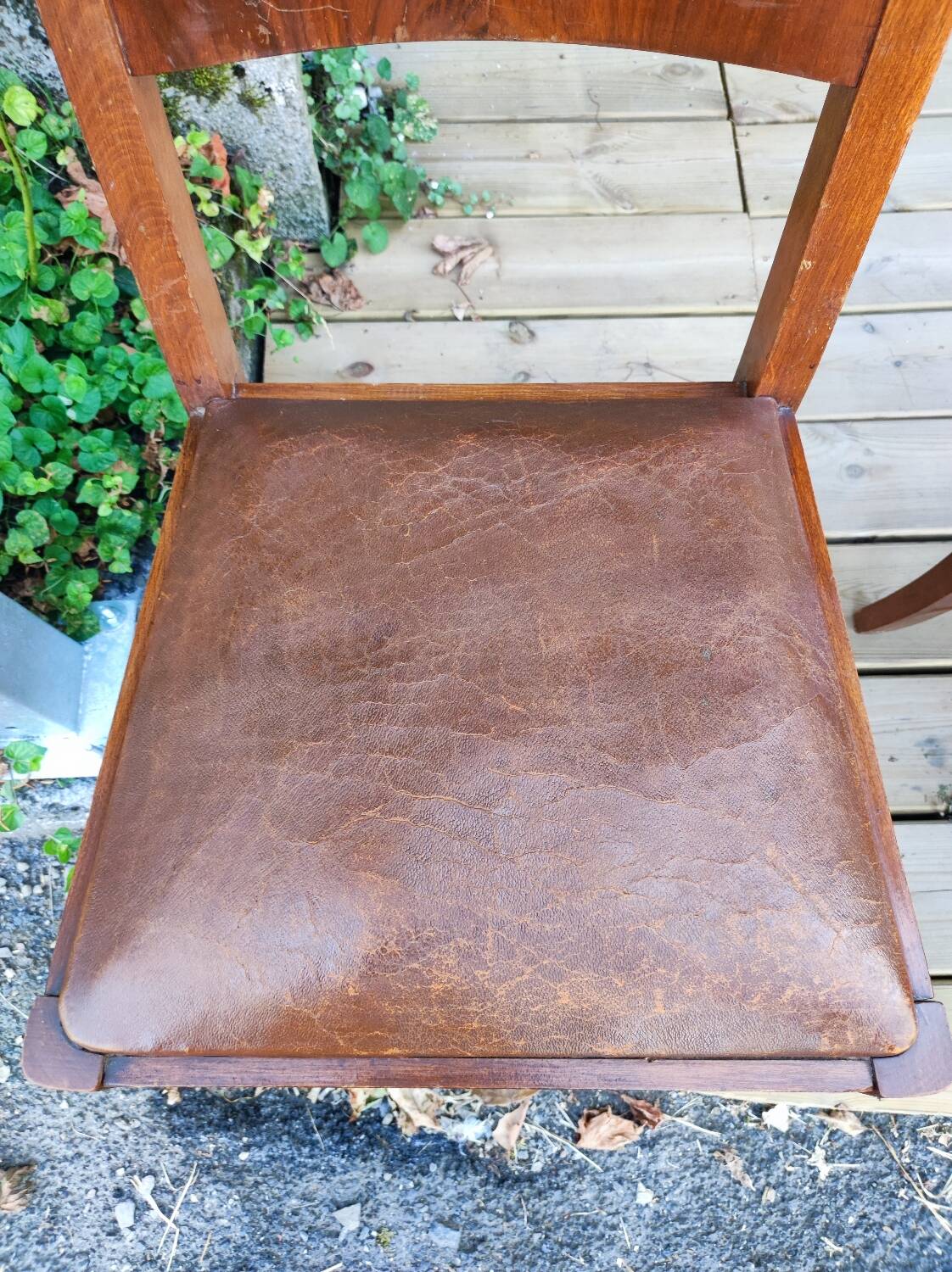 Set of 6 STELLA chairs, Art Deco, leather seat