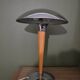 Liner or mushroom lamp