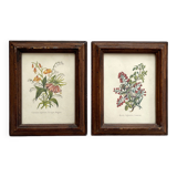 2 small old wooden frames with botanical engraving