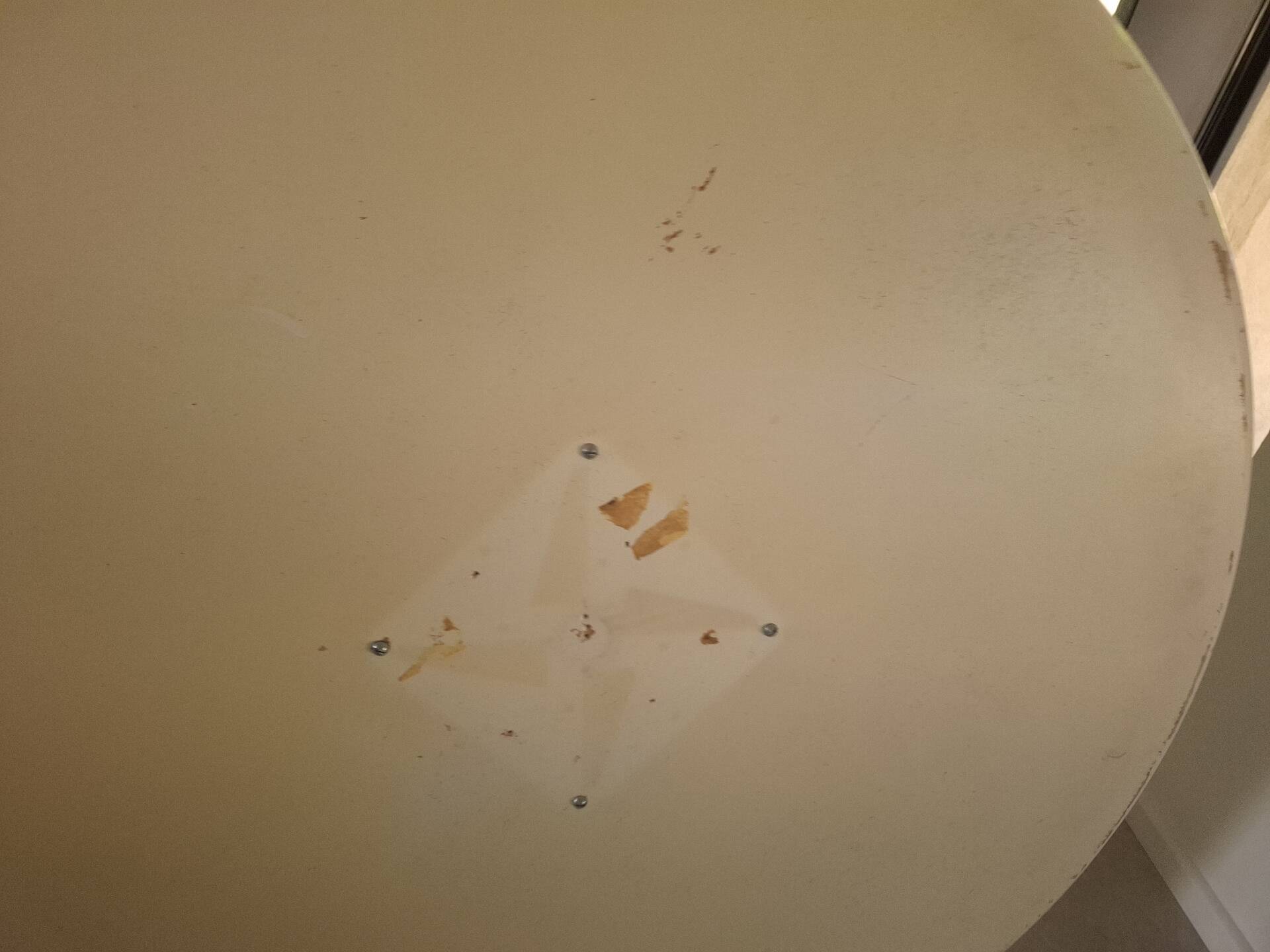 Tulip leg round table