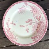 Assiettes à dessert « Turenne » de Creil et Montereau