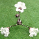 1970s Chandelier / Pendant lamp 3 arms of light Tulips with ruffles