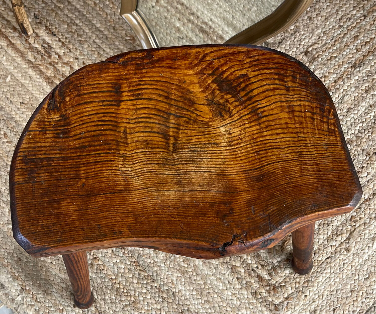 Oak cowbird stool