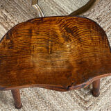Oak cowbird stool