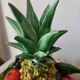 Vintage slipware fruit bowl