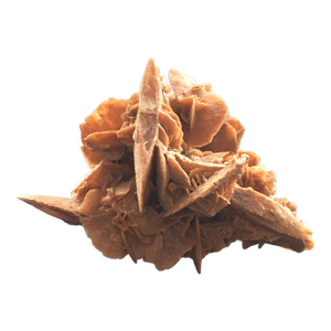 Rose des sables