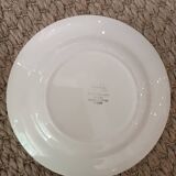 Larmor Digoin plates