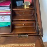 Secretary speed bump