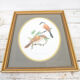 Reproduction of passerine birds by Murr ornithological board