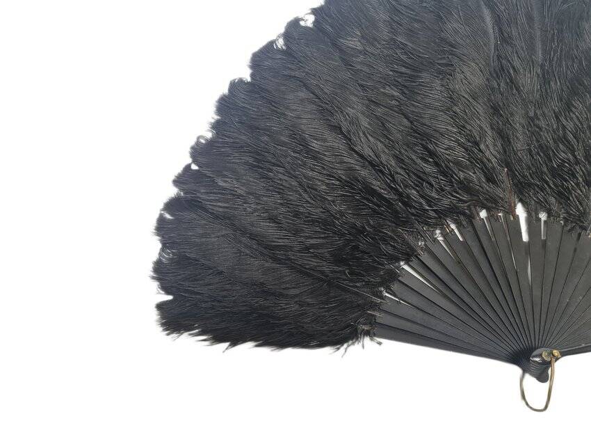 Art Deco Polish Austria feather fan, 1920s