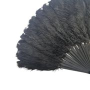 Art Deco Polish Austria feather fan, 1920s
