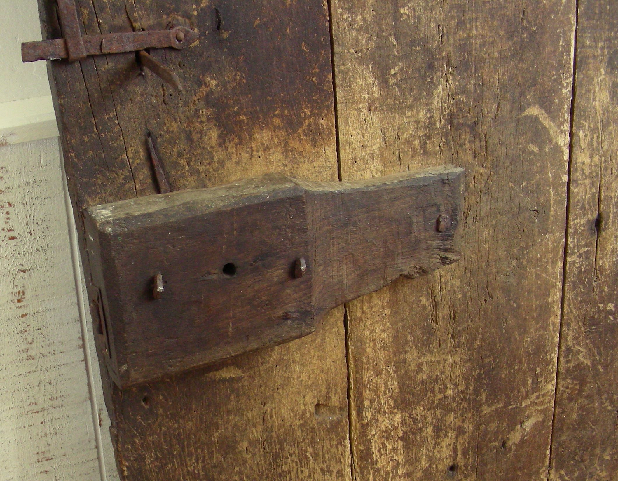 Old oak of cellar door