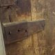 Old oak of cellar door