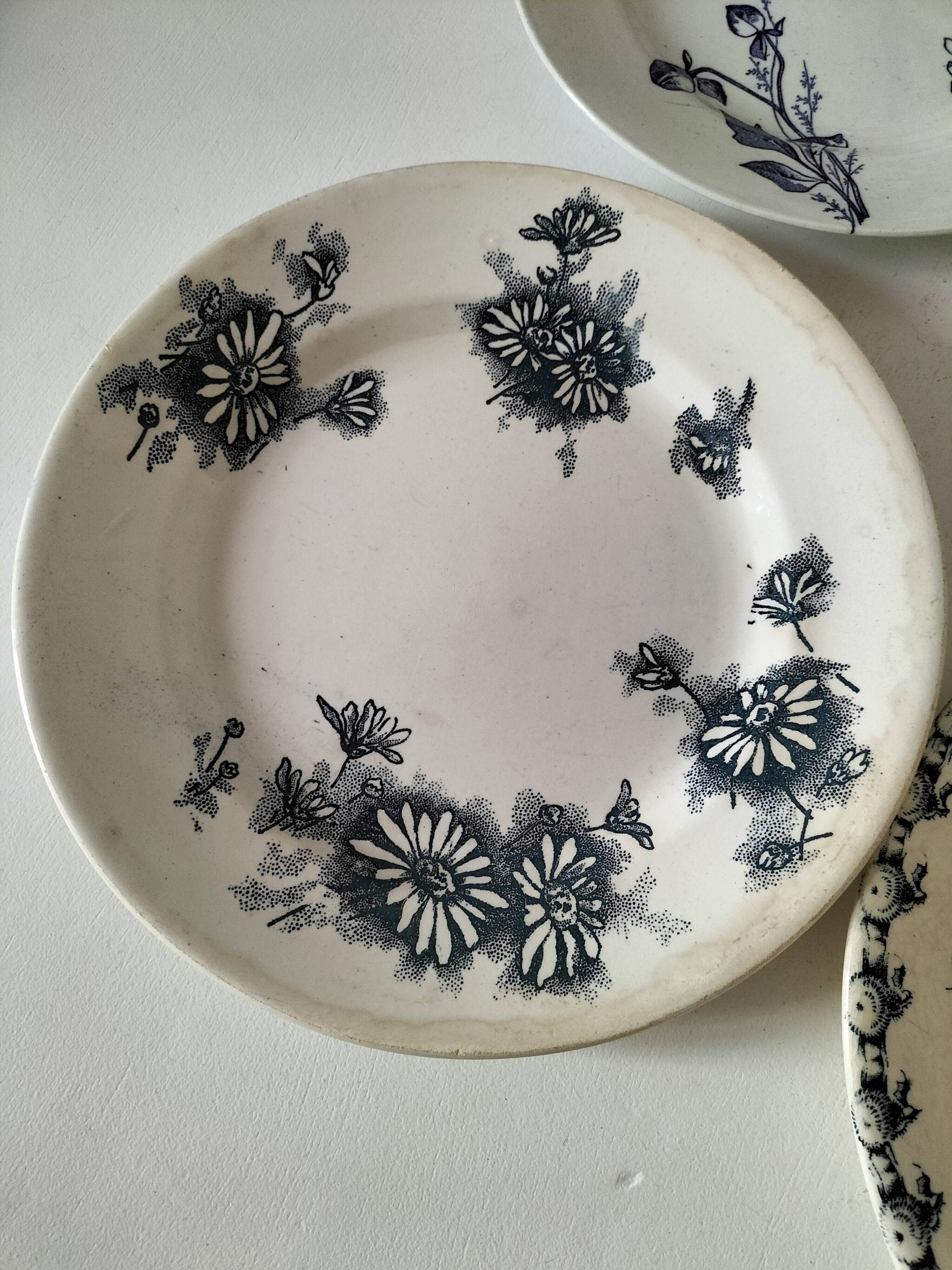 Set of 6 ironstone plates in shades of blue, late 19th to early 20th century.