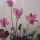3 pink flower planks framed cyclamen, woolly ciss, lilies