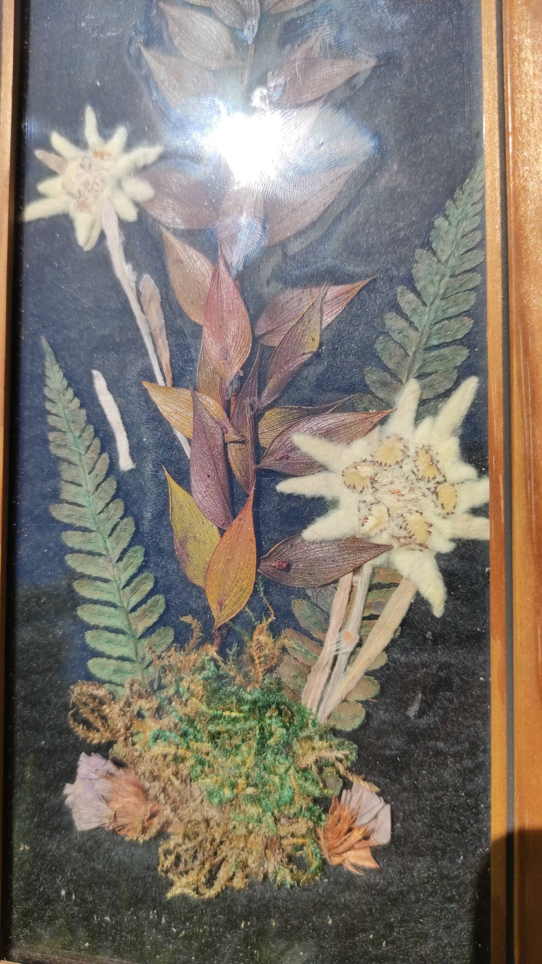Cadre vintage fleurs séchées
