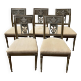 Set of 5 Directoire style chairs
