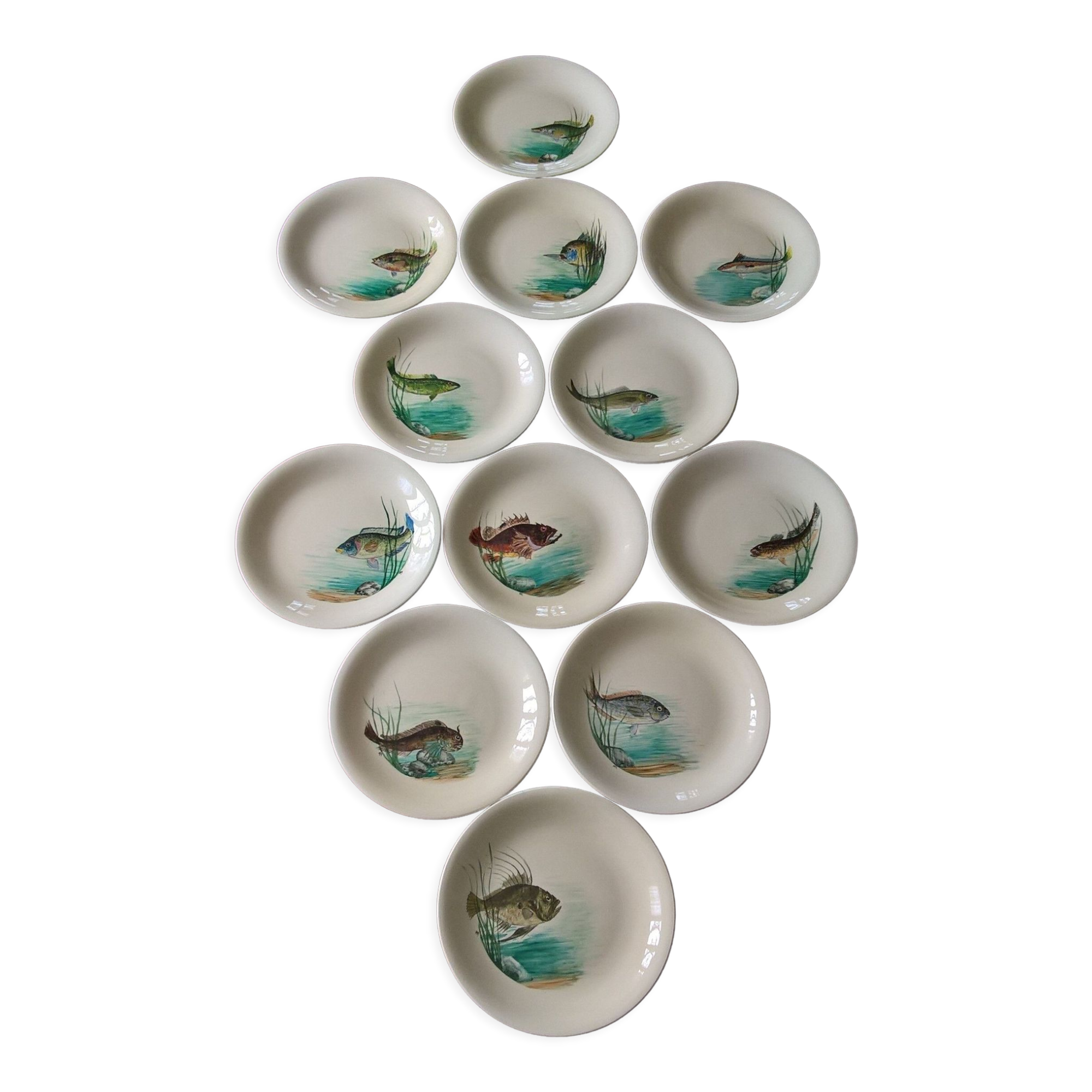 12 fish plates Proceram Cerel Aubagne, 1950s
