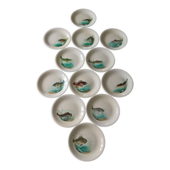 12 fish plates Proceram Cerel Aubagne, 1950s