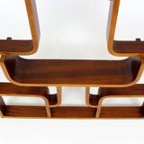 Restored Mid-Century Room Divider by Ludvik Volak for Drevopodnik Holesov, 1960s