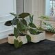 Wavy Planter La Fiorera White by Valenti, 1970s