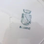 5 flat plates in ironstone from St Amand model Réjane 210726