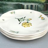 Flat plates stamped saline France