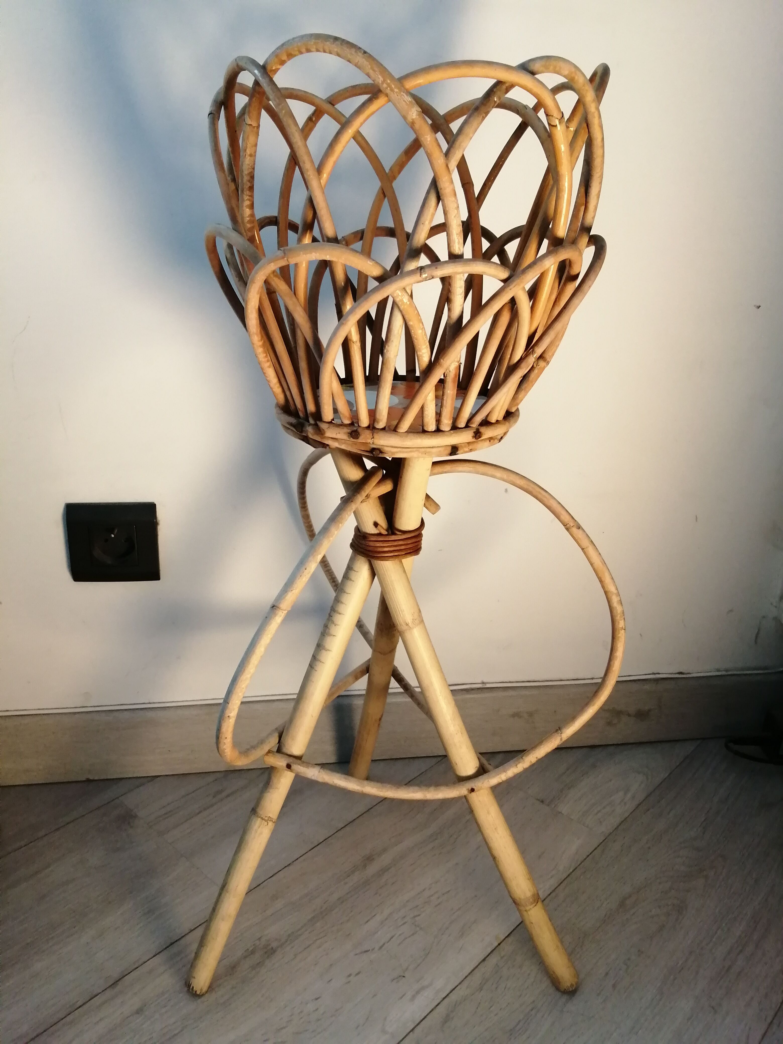 Door rattan plant 60s