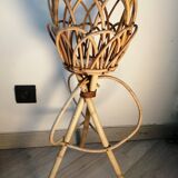 Door rattan plant 60s