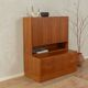 1960s Bar Cabinet by DeWe