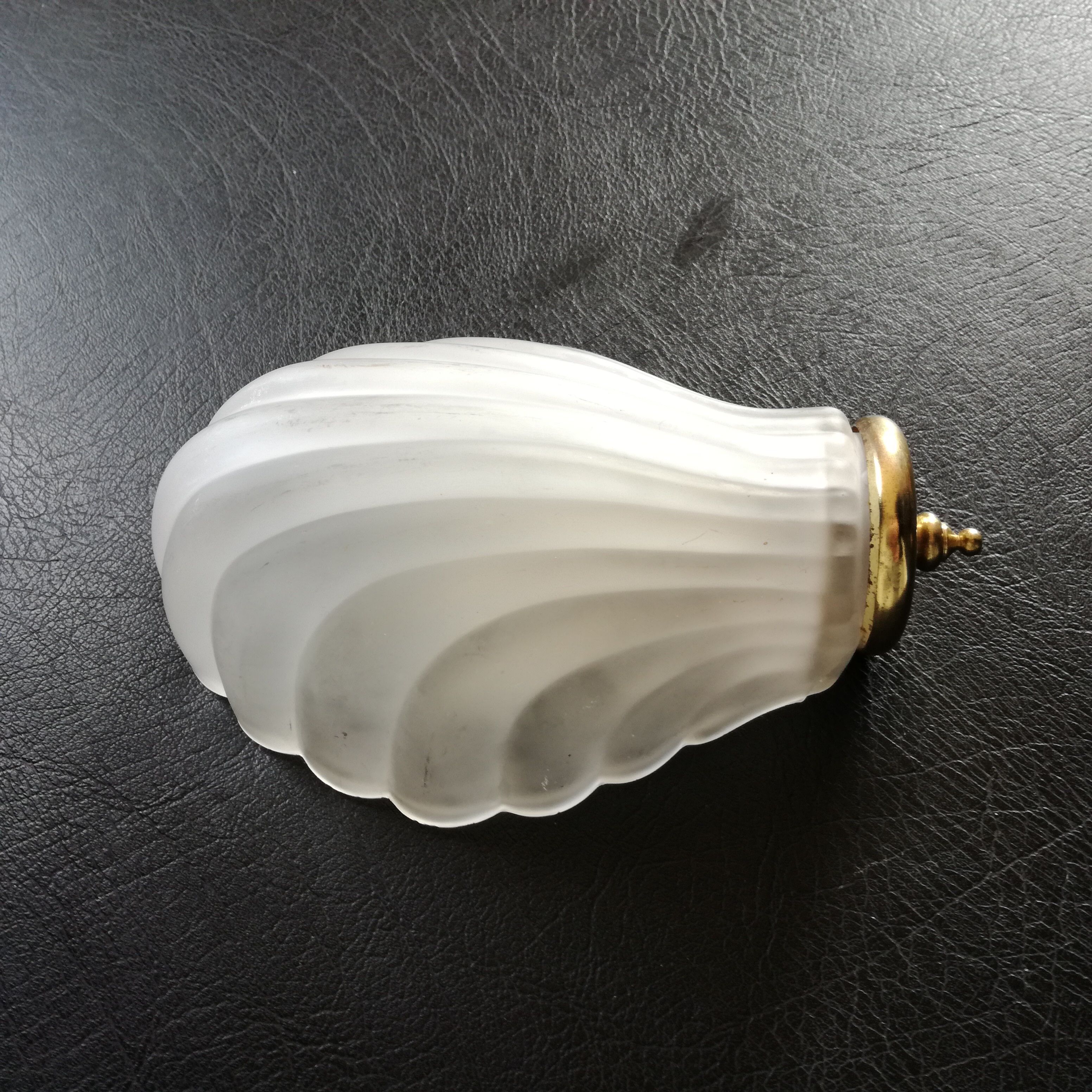 Glass shell sconce