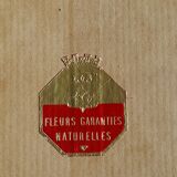 Oval frame dried flower