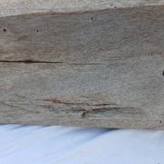 Bac / abreuvoir en bois ancien