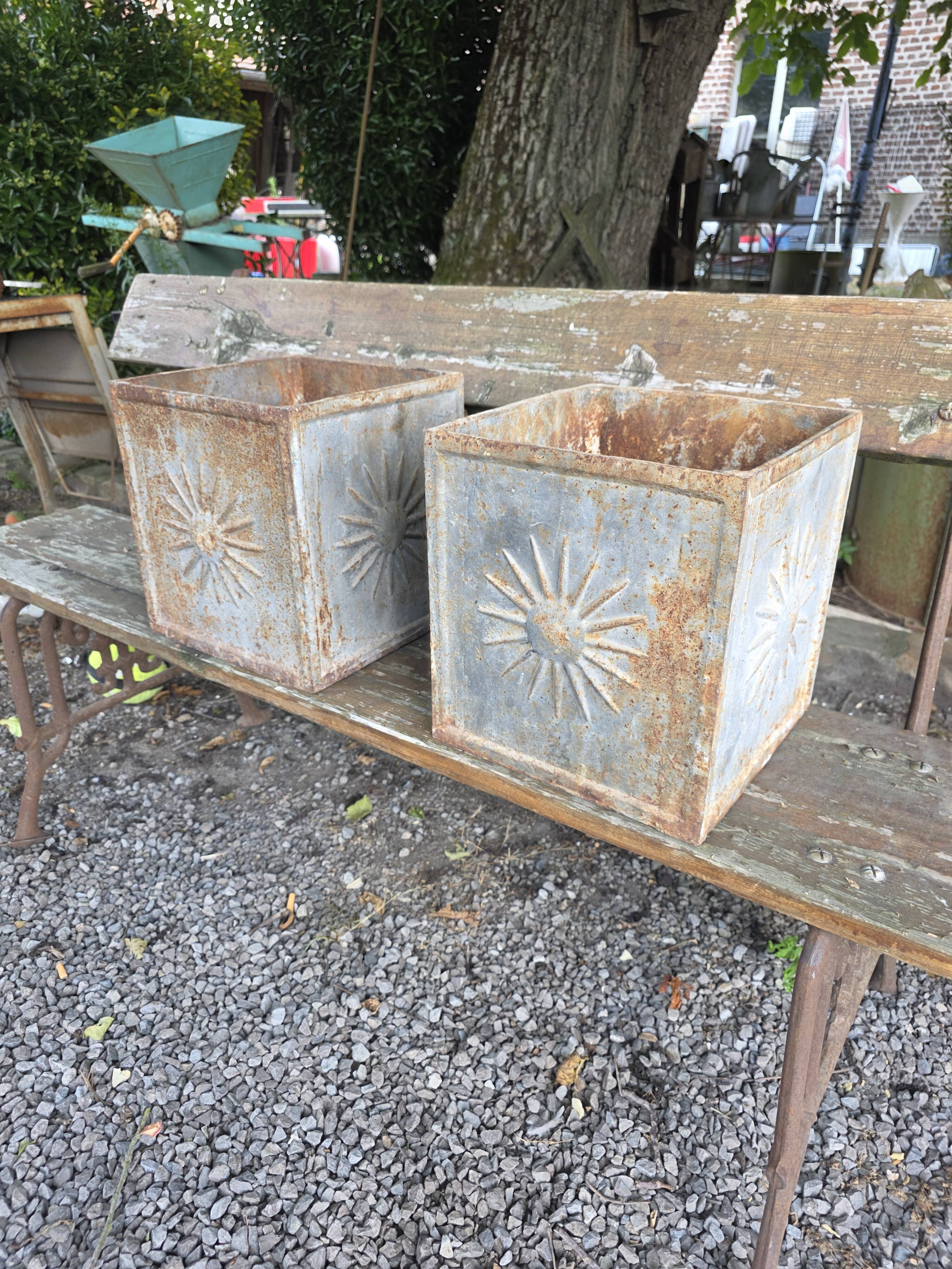 Pair of cast iron planters