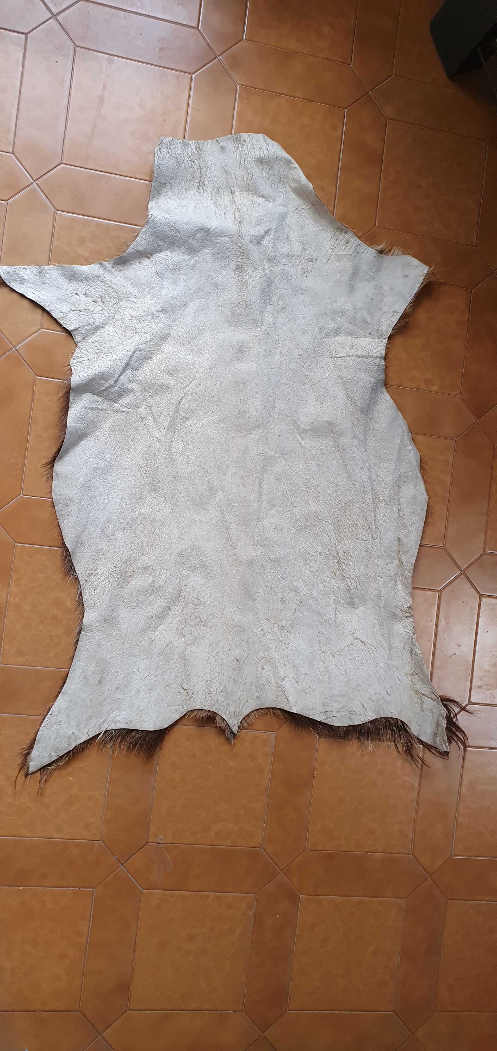Goatskin 100x75cm